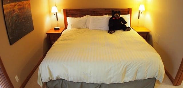 Timberline Village