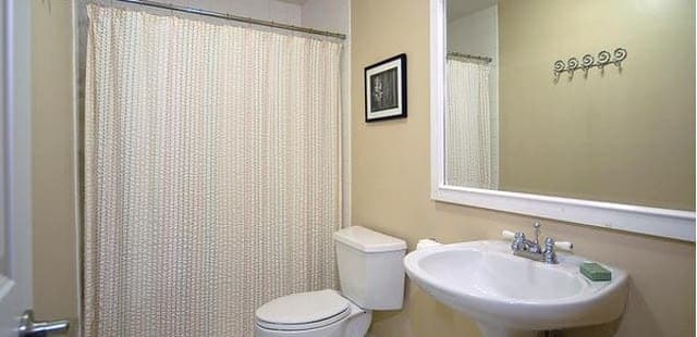 Willows