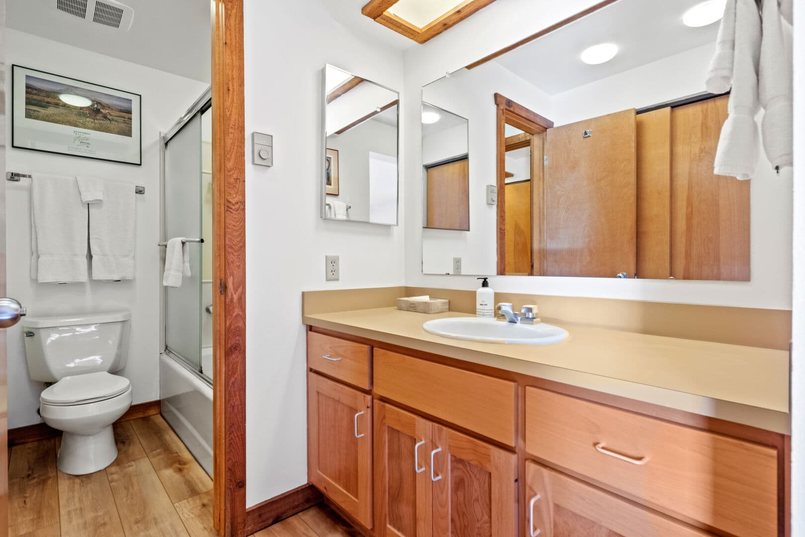 Shared Hall Bath -- View From Lower Level Queen Bedroom