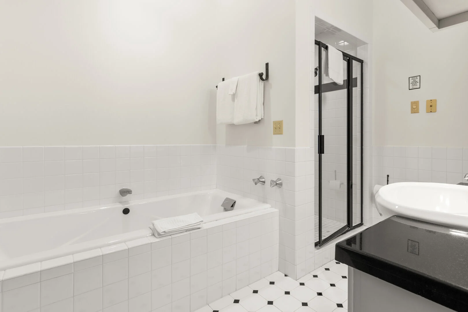 Master Bath Jacuzzi Tub