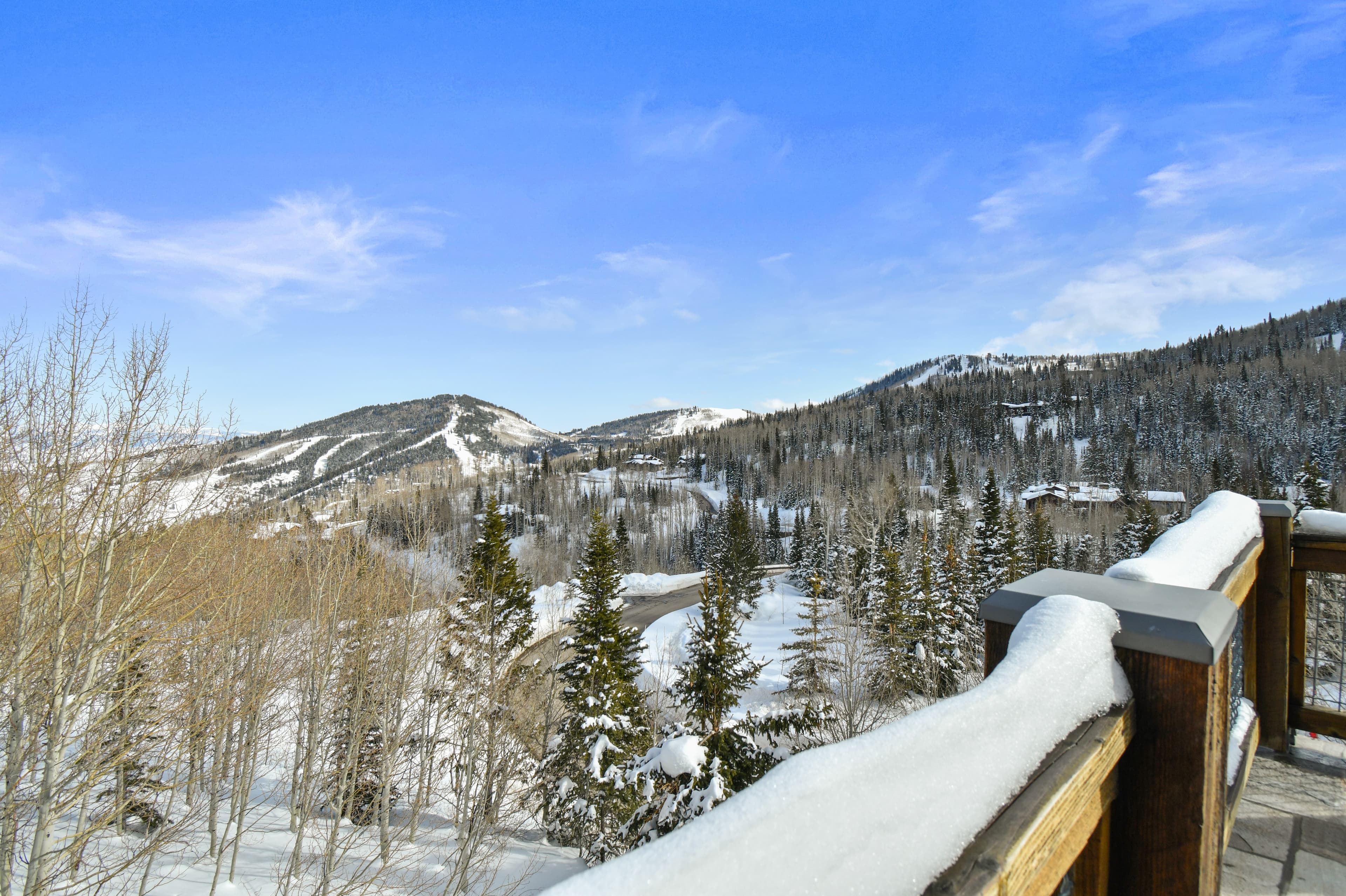 Snow piles up on a railing overlooking snow-covered trees.