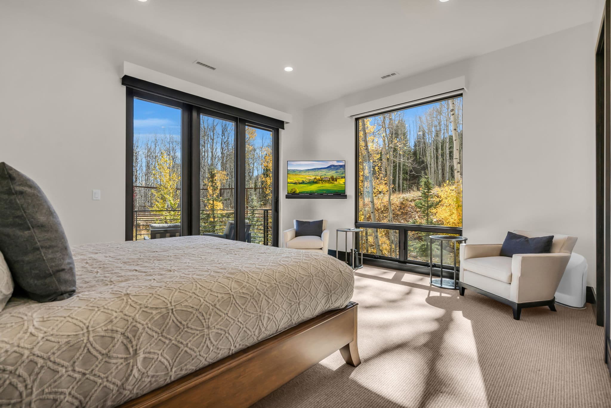 Large Bed, Accent Chairs, Side Tables, and TV