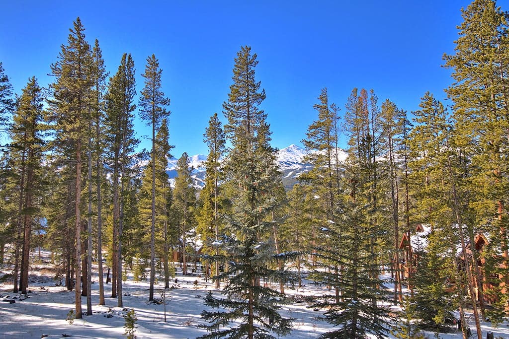 Exterior - Evergreen Lodge - Breckenridge Vacation Rental