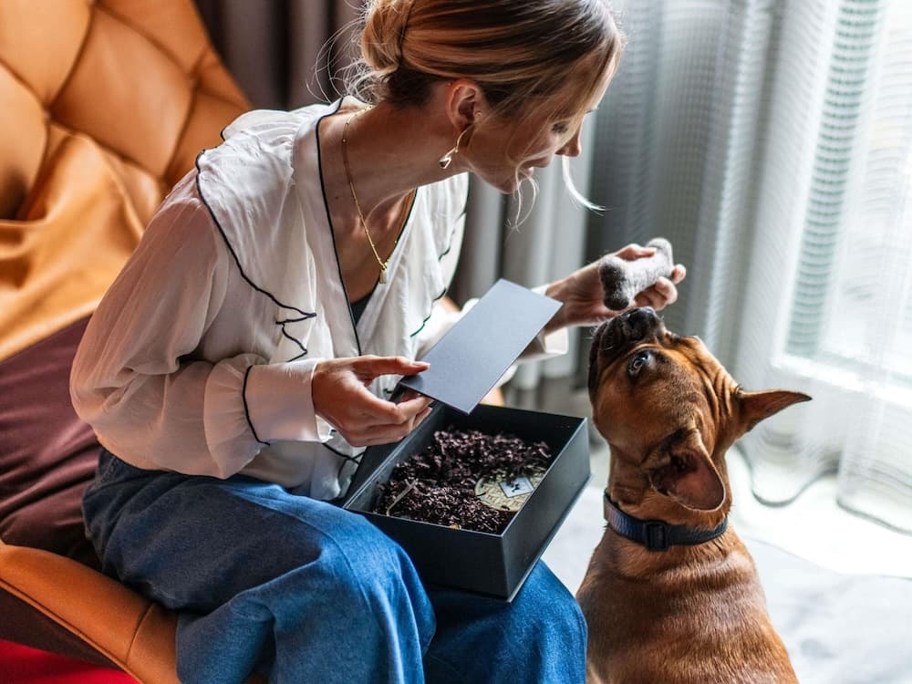 Pet-friendly