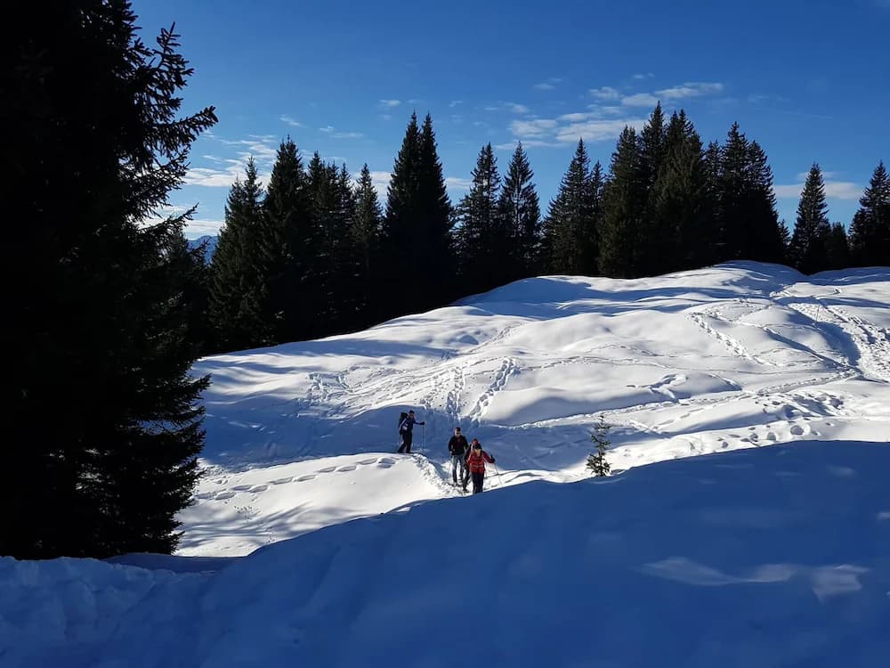 Snowshoeing