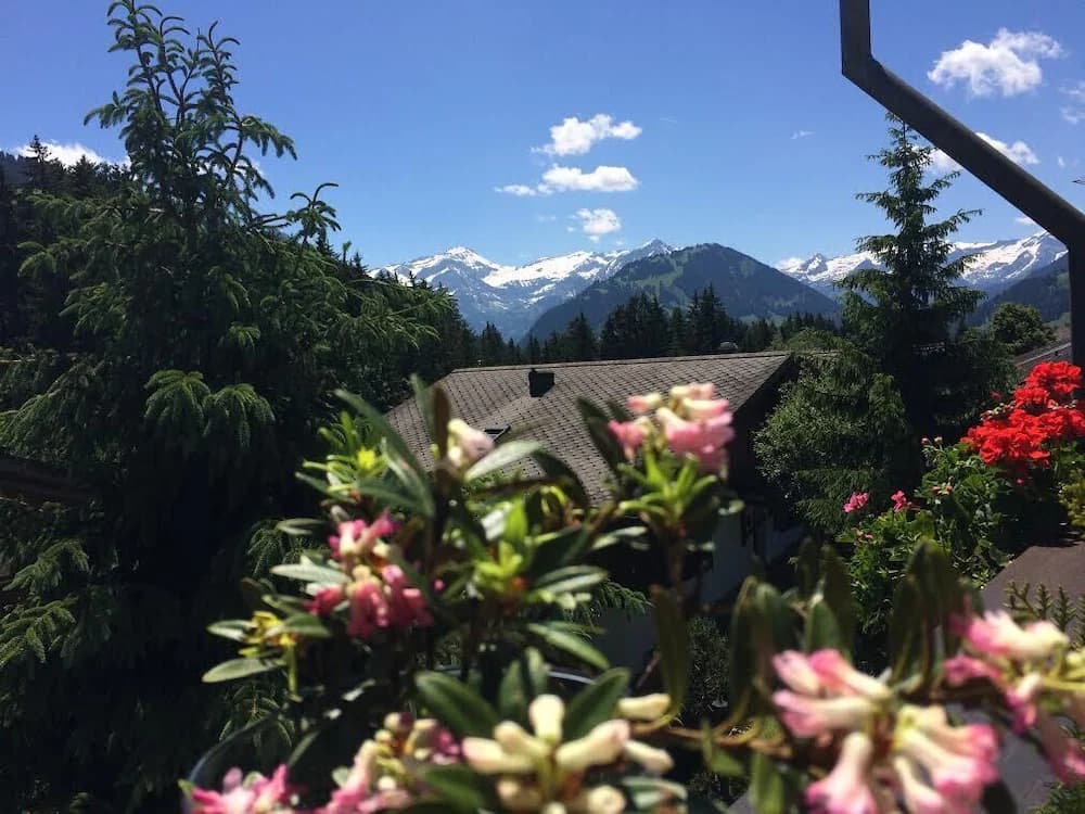 View from room