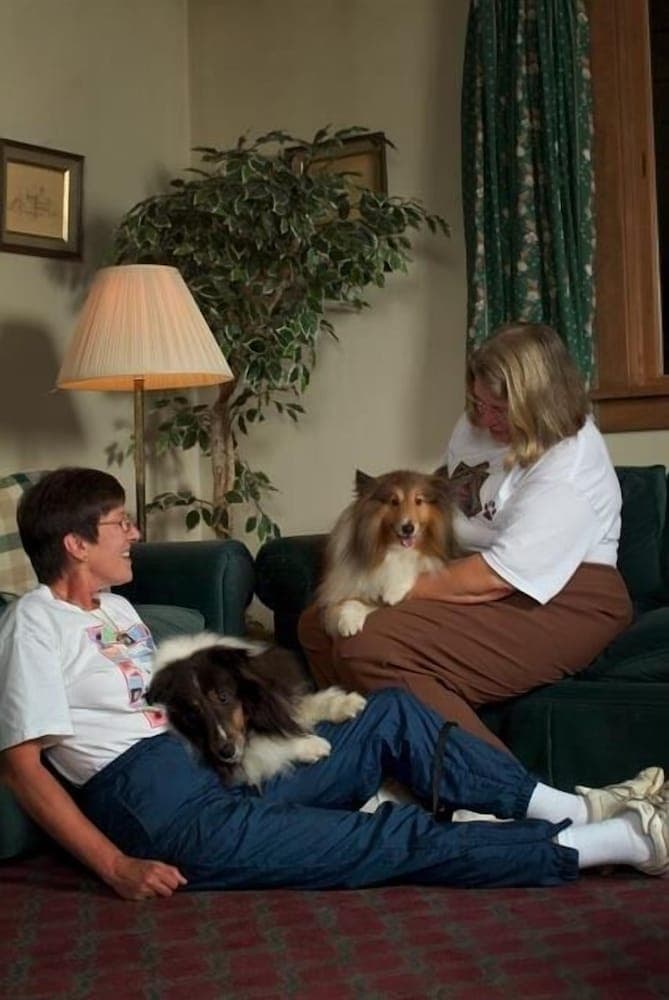 Pet-friendly