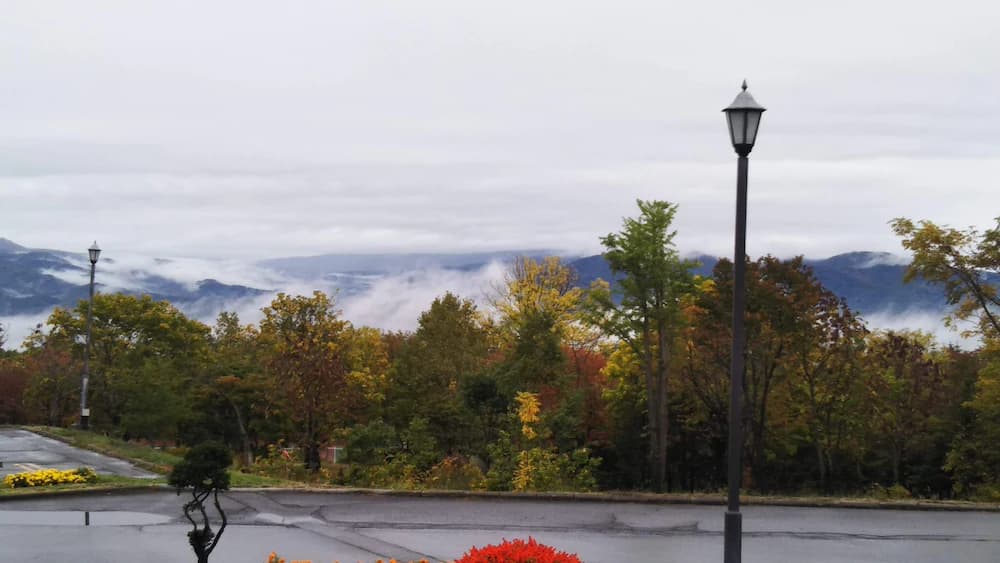 View from room