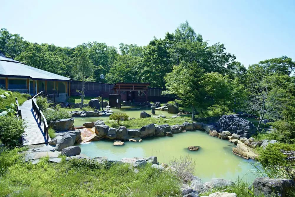 Natural pool