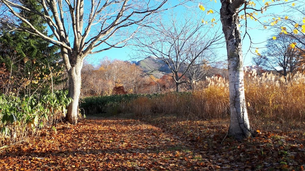 Land view from property