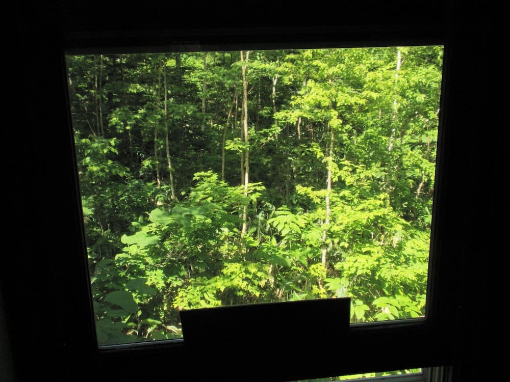 View from property