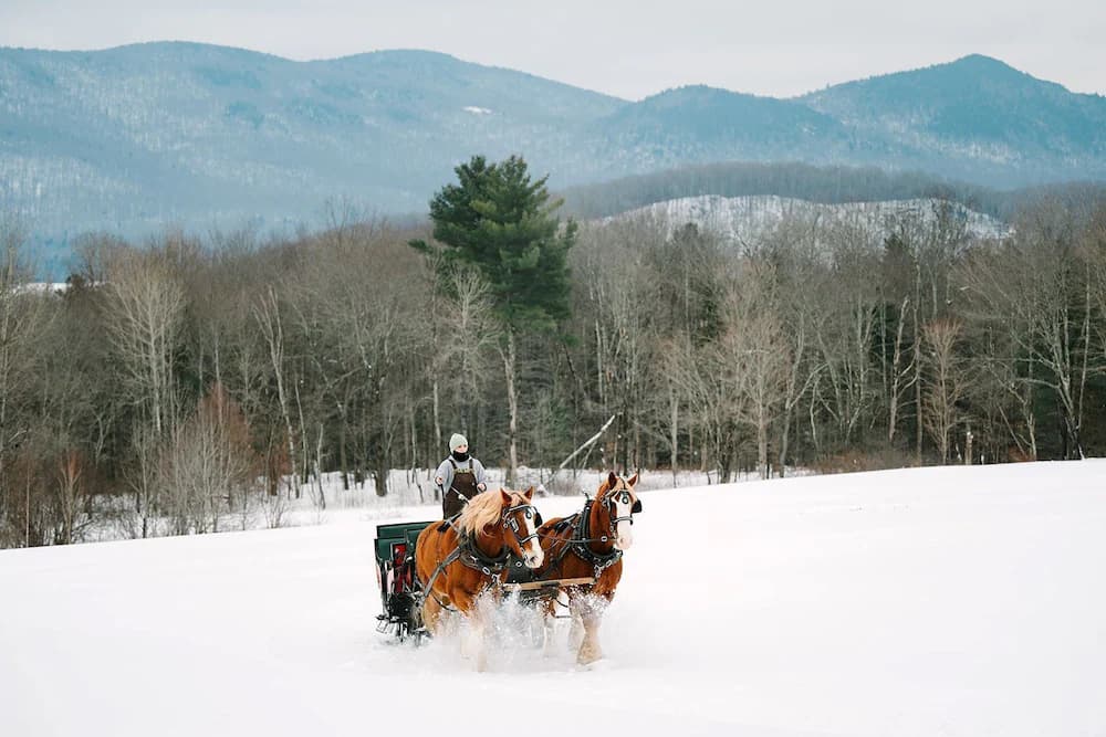 Horseback riding