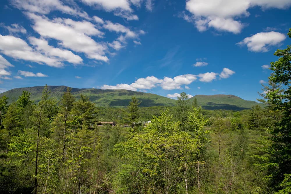 Land view from property