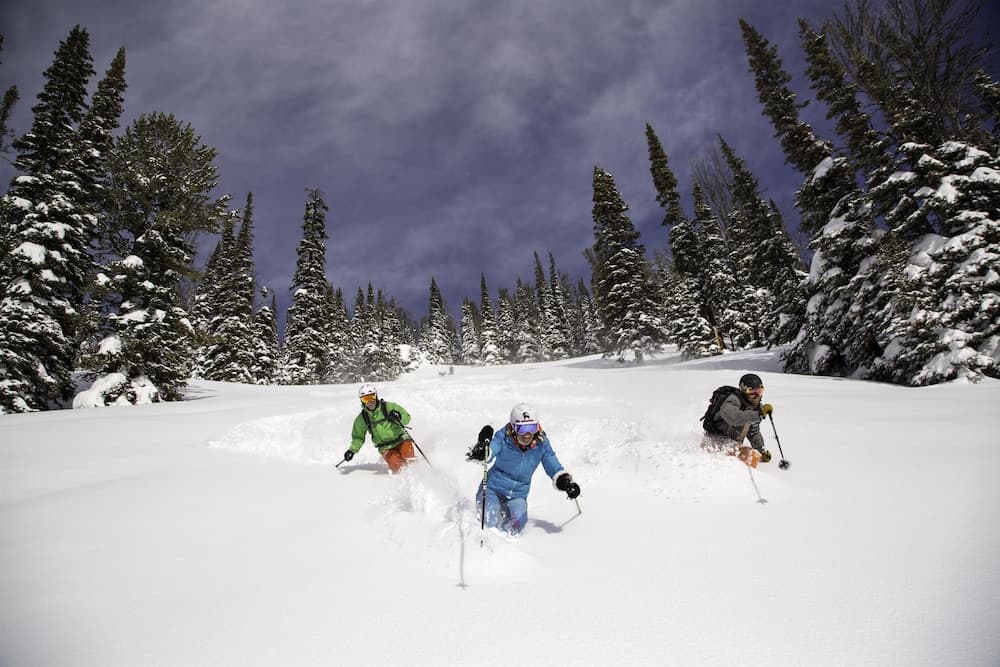 Skiing