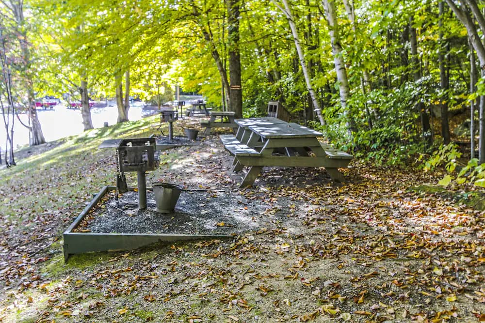 BBQ/picnic area