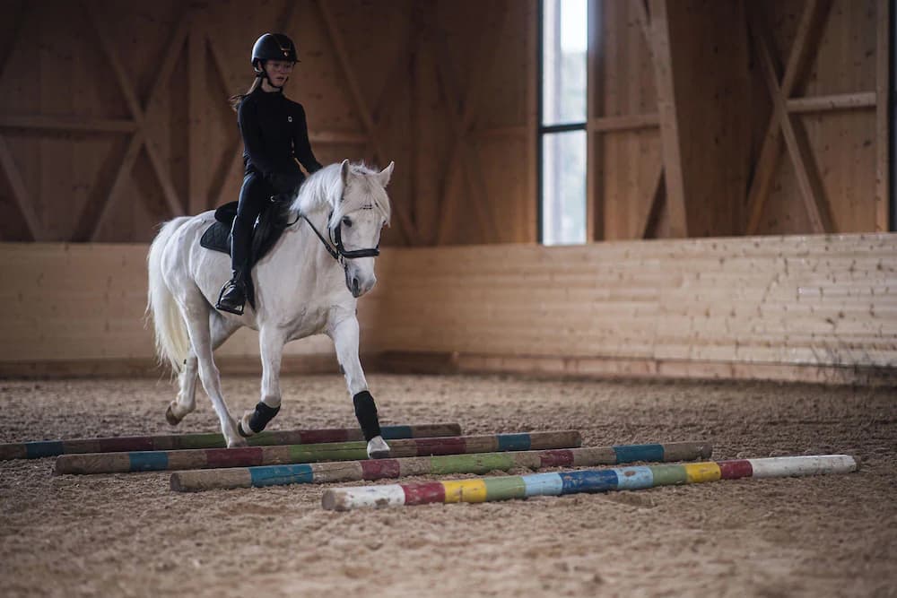 Horseback riding