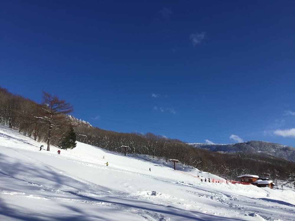 Skiing
