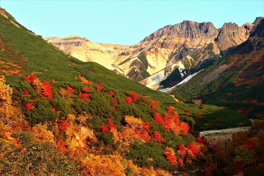 Land view from property