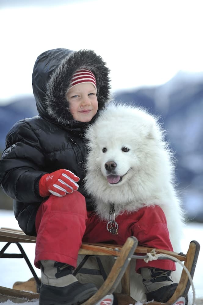 Sledding