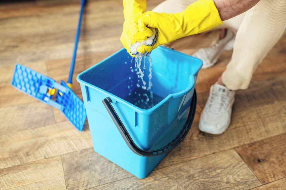 Cleanliness standards