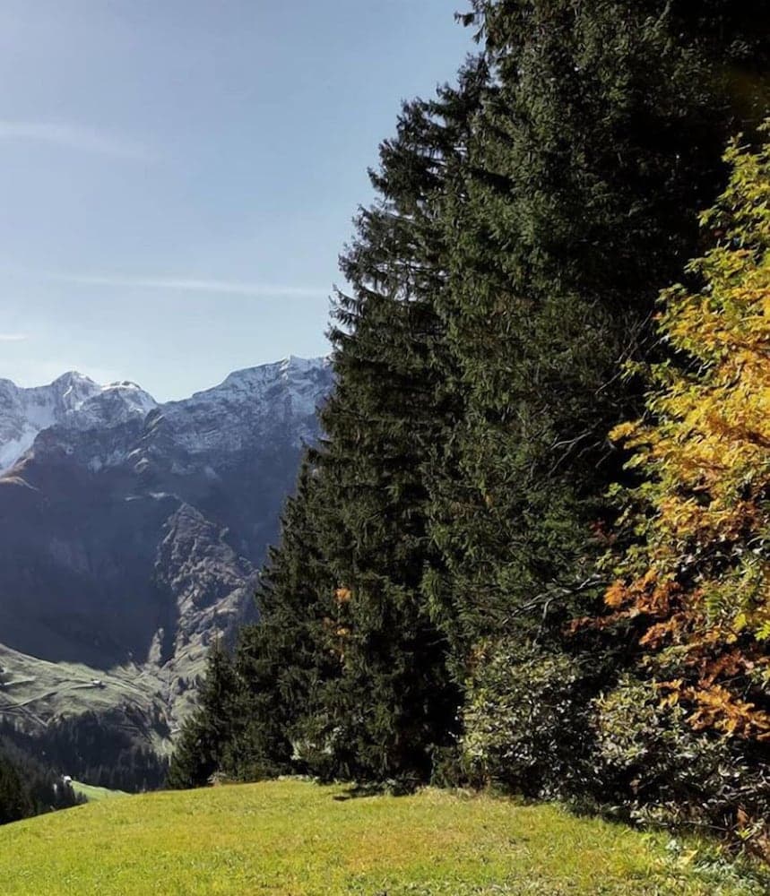 Hiking