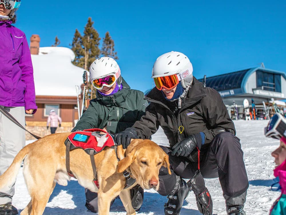 Skiing