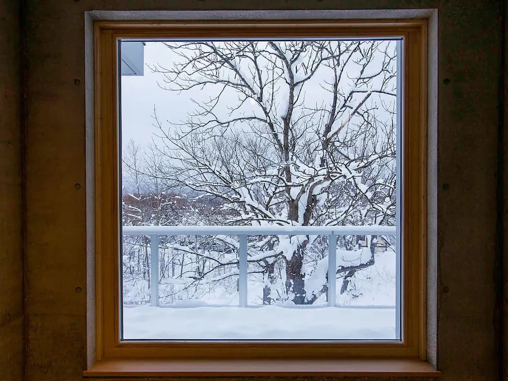 View from room