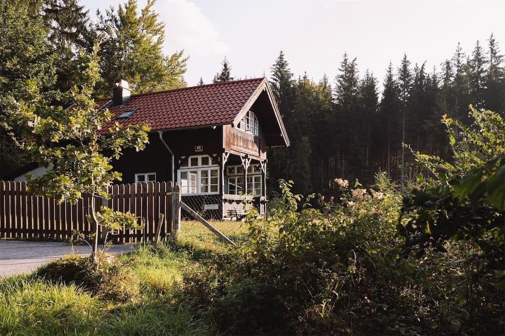 Primary image