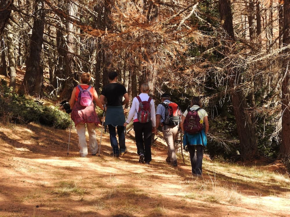 Hiking