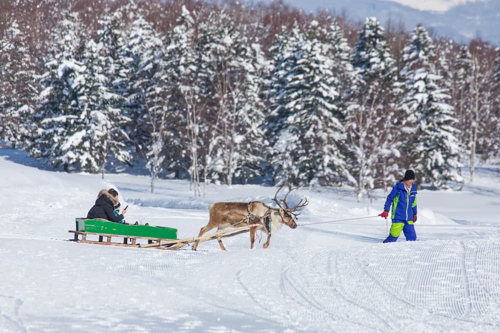 Sledding