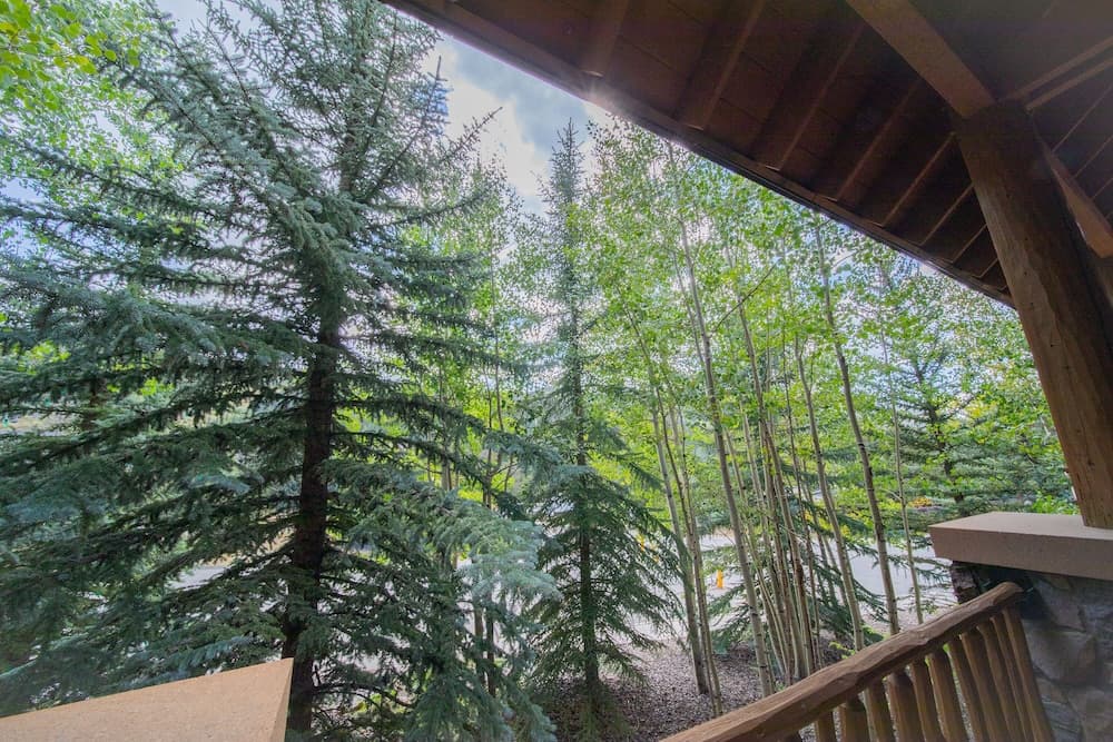 View from room