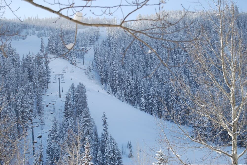 Snow and ski sports