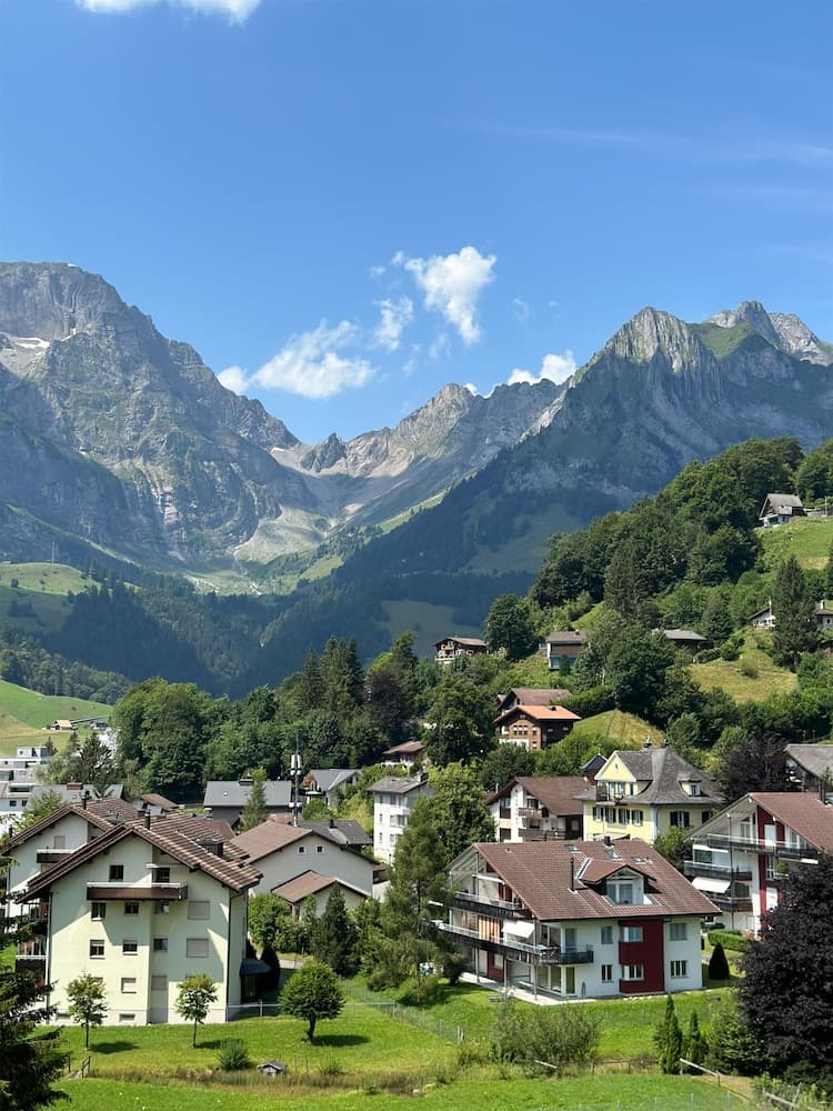 View from property