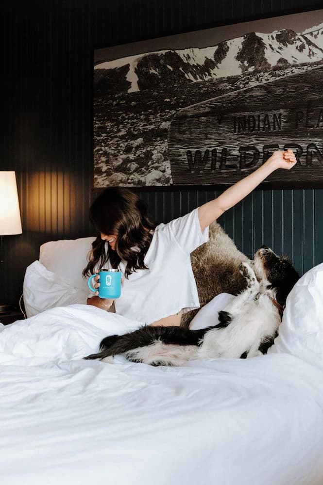 Pet-friendly
