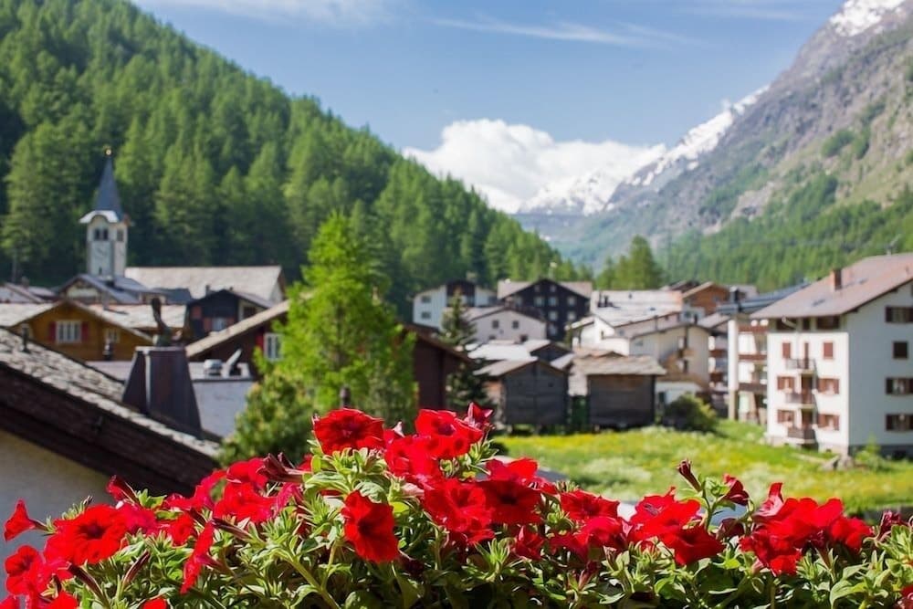 Mountain view