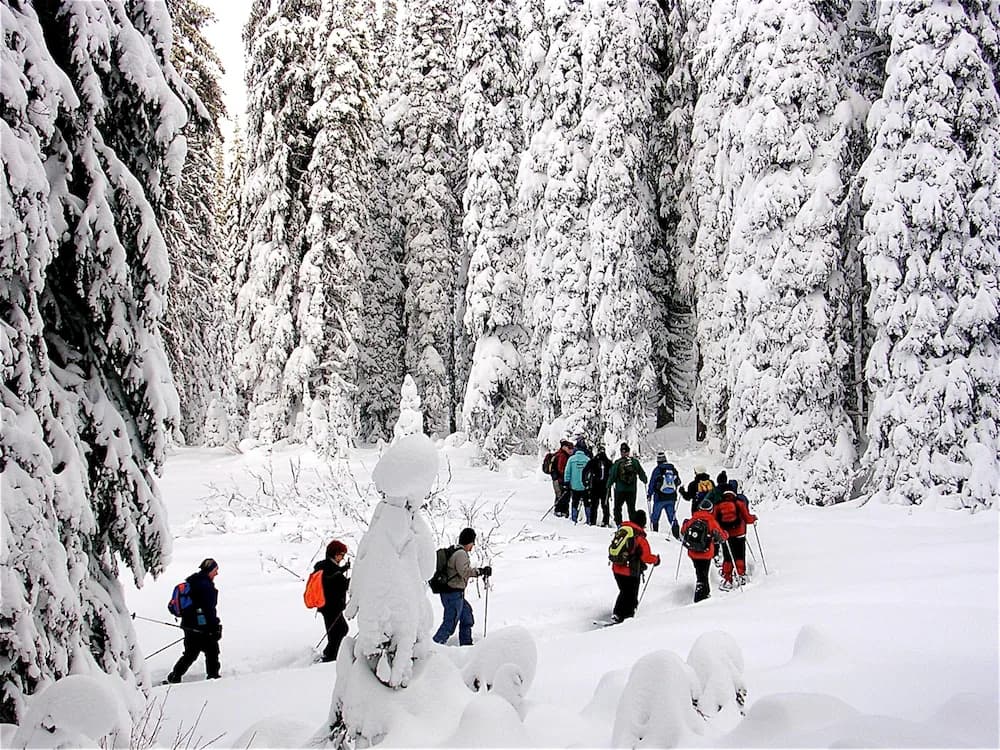 Snow and ski sports