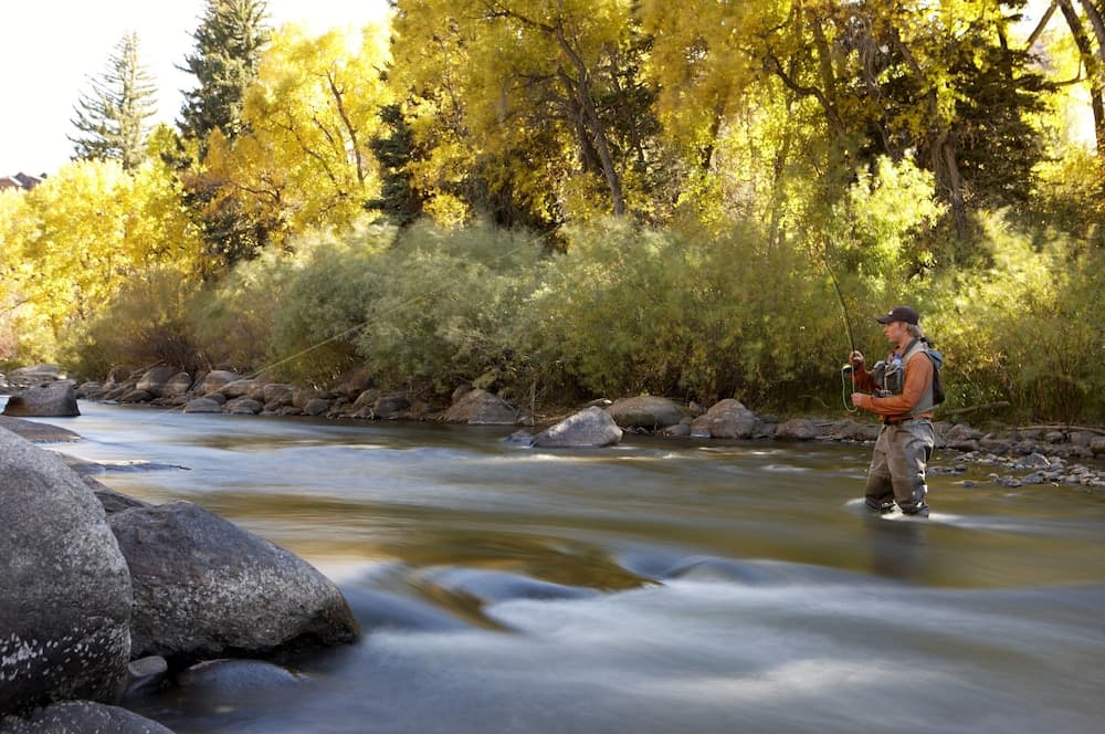 Fishing