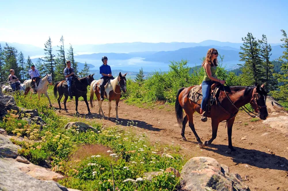 Horseback riding
